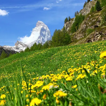 Chalet Turquino - Apartment Marmotte - Self-Check-In On Site *